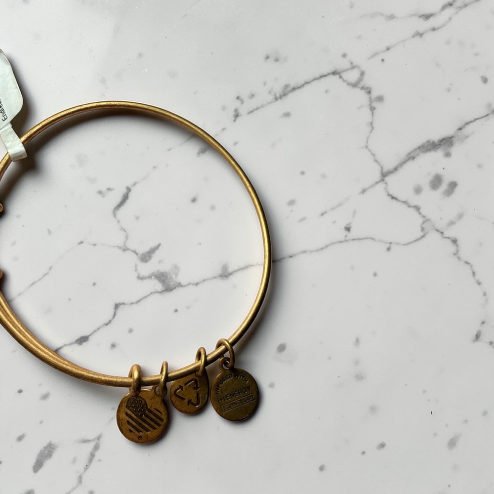 NWT Alex and Ani Endless Knot Charm Bangle Bracelet Rafaelian Gold Expandable - Picture 3 of 8
